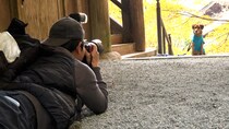 脱サラし、5000匹以上を撮影してきた犬専門のカメラマン　人気の秘訣“飼い主驚き”の撮影テクニックとは？