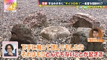 “サイコロの1”の謎　京都・宇治のお寺に埋められた「壊したらとんでもないことになる」超重要な石　その正体は？