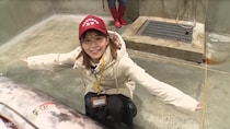 『旅サラダ』女優デビュー大仁田美咲アナに「100万ドルの笑顔」「ウチの娘になって」の声　彼女が大興奮した、自分より大きな魚とは？