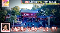 京都・八坂神社の“ぬりかべ”にはまさかのマッチング機能が搭載されていた!?　番組史上初!? 答えが堂々と大きく書かれてあるのに気づかない２人は…