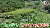 母は“伝説的ゴルファー”アーノルド・パーマーとコースを回った元キャディ…元ワル息子の“Uターン暮らし親孝行”にホロリ