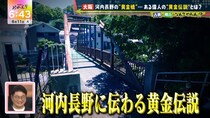 大阪・河内長野に伝わる“黄金伝説”とは！？ 河合郁人が「やった！やった！」→「まじか！」感情のジェットコースターで疲弊