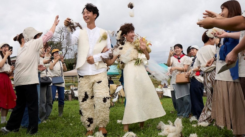 「新婚さんいらっしゃい！」広島県出身の妻は「自給自足的な暮らしがしたい」と、北海道で出会った“羊飼い”に誘われて移住→結婚式は、前代未聞！「ファースト羊毛」に「羊毛シャワー」！？