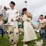 「新婚さんいらっしゃい！」広島県出身の妻は「自給自足的な暮らしがしたい」と、北海道で出会った“羊飼い”に誘われて移住→結婚式は、前代未聞！「ファースト羊毛」に「羊毛シャワー」！？