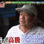 「ポツンと一軒家」伊達政宗に敗れた福島・落人の末裔が作る“日本一美味しいお米”。その暮らしぶりと決意