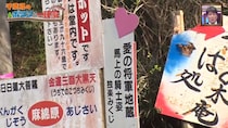 35歳差婚した母親と、12歳で出家した息子が住人　『ポツンと一軒家』住民が推す「ポツンとあじさい寺」が登場