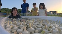 『探偵！ナイトスクープ』「にんにく」が大好き！ にんにくに溺れる女…!?