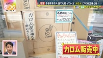 “滋賀・彦根市民はみんな知ってる”けど“彦根市民以外誰も知らない”『カロム』ってなに!?　 A.B.C-Z塚田の豪快ズッコケも必見！