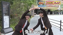 関西ジュニア・AmBitiousの新企画でミラクル連発！ 街で声をかけた相手はまさかの…「本当に仕込みなしのガチです」