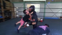 「探偵！ナイトスクープ」助けたい！ゼウスのために戦う涙の６歳児
