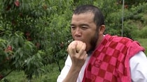 「相席食堂」 ナレーションでも活躍するラッパーが岸和田でだんじりの魂にふれる！ 旅の最後に熱唱すると、まさかの衝撃映像が…