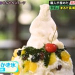 41歳同い年！ プライベートでも大の仲良しの甘党おじさんコンビが唯一無二の“ひんやりスイーツ”を満喫！