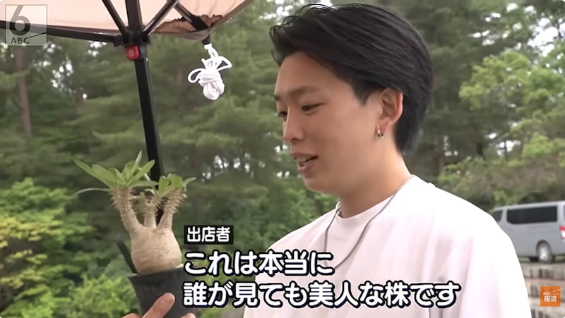 ずんぐり塊根・ぷっくり多肉…奇抜なフォルムを愛でる人が集結！「珍奇植物」の即売会がアツい