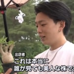 ずんぐり塊根・ぷっくり多肉…奇抜なフォルムを愛でる人が集結！「珍奇植物」の即売会がアツい
