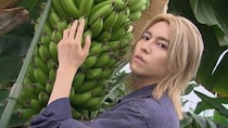 「相席食堂」結成15年ダンス＆ボーカルグループのバラエティー志望29歳を、“埋め師”ディレクターが熱く応援！？ バナナ農家を訪れ怒涛の展開に