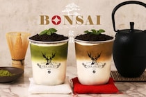 ジ アレイ、ほうじ茶と抹茶の新春ラテ 盆栽イメージの和風仕立て