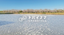 埼玉にアウトドア施設「トバイヌマGRAND FIELD」春は桜並木に囲まれ、キャンプやサウナ付グランピング