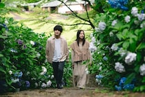 「一次元の挿し木」紫陽（堀田真由）の真相判明で考察加速「悠（山田涼介）と双子？」回想シーンに注目集まる