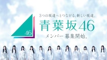 新たな坂道グループ「青葉坂46」メンバー募集開始 1年間活動後「乃木坂46 7期生」「櫻坂46 5期生」「日向坂46 6期生」のいずれかに配属