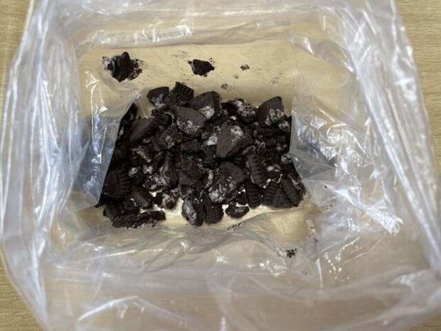 「再現レシピの天才だ！」【スタバ風フローズンコーヒー】作ったら感動クオリティ「おいしすぎる！」の画像4