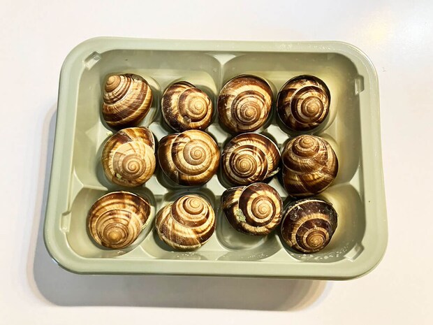 【ロピア】「このおいしさで1000円以下？」感動の新作はコレ！人気の全40品実食まとめ【2025年10月22日最新】の画像236