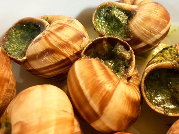 【ロピア】「このおいしさで1000円以下？」感動の新作はコレ！人気の全40品実食まとめ【2025年10月22日最新】の画像239