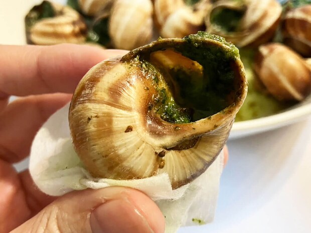 【ロピア】「このおいしさで1000円以下？」感動の新作はコレ！人気の全40品実食まとめ【2025年10月22日最新】の画像242