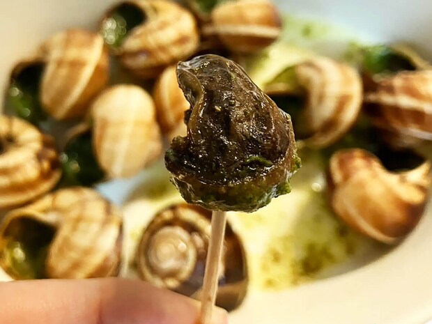 【ロピア】「このおいしさで1000円以下？」感動の新作はコレ！人気の全40品実食まとめ【2025年10月22日最新】の画像243