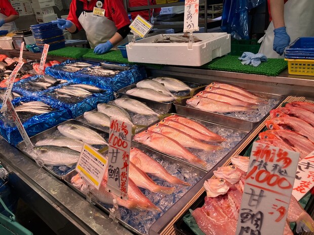 【角上魚類】謎に迫る！　黄色い帽子の「親切係」の仕事とは？①の画像3