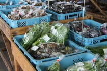 「スーパーよりお得？」元店長が教える「道の駅」「直売所」上手な付き合い方とは？