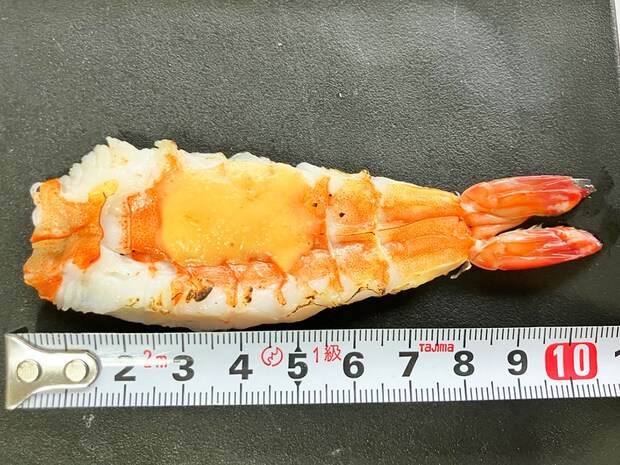 【角上魚類】サーモンが10cm級！480円「炙りチーズ寿司」は“半生”食感で最高の画像10