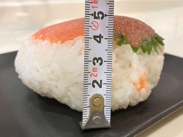 【角上魚類】の画像6