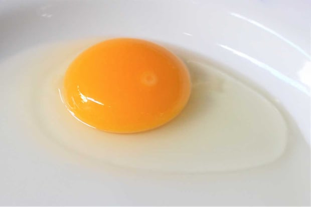 【管理栄養士が解説】「月見バーガー」トロ〜リ半熟は「ニセ卵」？　ファストフード3社「加工卵」のメリット・デメリットの画像1