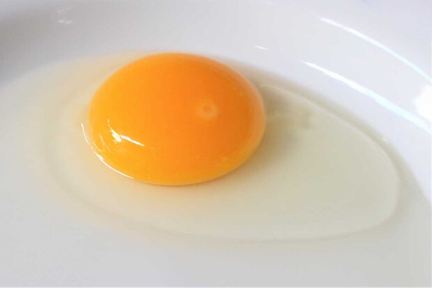 【管理栄養士が解説】「月見バーガー」トロ〜リ半熟は「ニセ卵」? ファストフード3社「加工卵」のメリット・デメリット