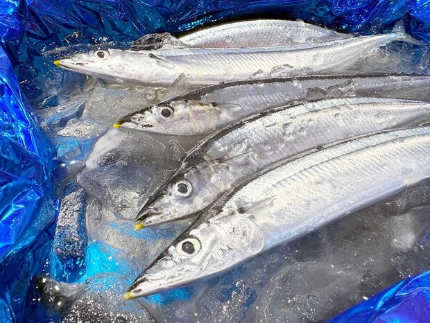 10月1日【⾓上⿂類】タコ唐揚げやピッキピキの旬鮮魚も「全品10％引き」！阪神優勝「売るトラセール」開催の画像6