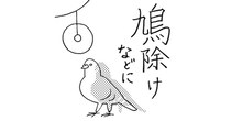 【プウ美ねえさんのお悩み相談】元カレのCDが大量に出てきました