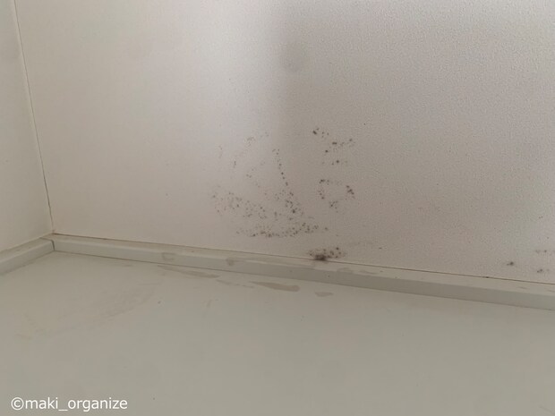 寝室の「カビ」を防ぐ10の対策！　「14年間でゴキブリゼロ」の家がやってる実例集の画像12