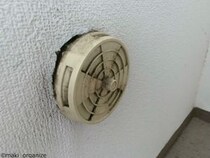 「14年間でゴキブリゼロ」の家がやっている害虫対策とは？　梅雨にやるべき8つのポイント