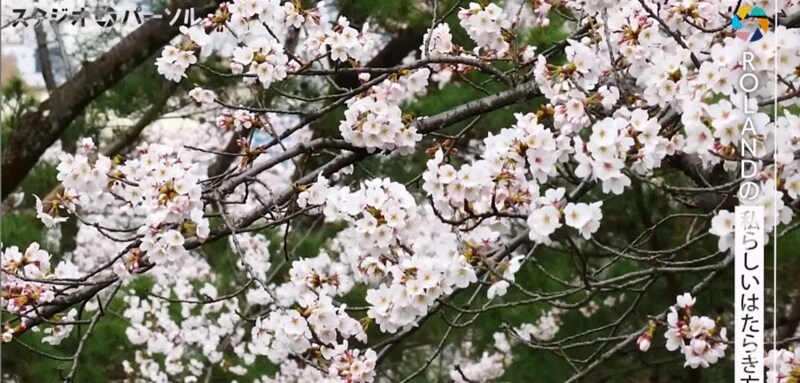 「何の役にも立たない」下積み時代ROLANDが、あだ名”焼きそばパン”から歌舞伎町の帝王になれた理由