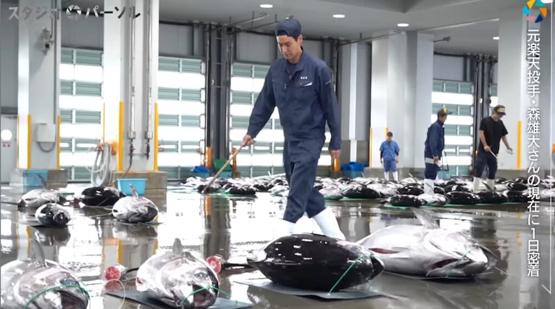 楽天ドラ1投手・森雄大→28歳で戦力外。早朝2:50起き、魚市場で“マグロ競り”する現在