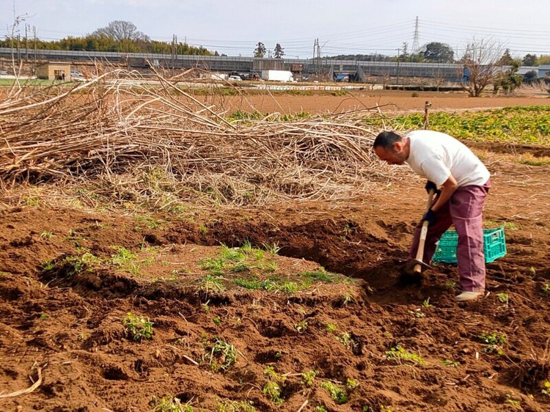 大学生で借金6,000万円。年収2,500万を捨て35歳で大工になった理由「このまま死んだら後悔すると思った」