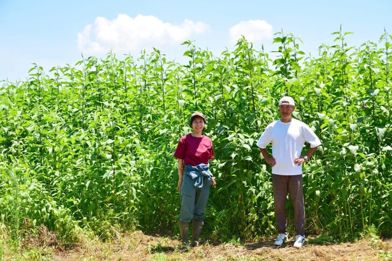 大学生で借金6,000万円。年収2,500万を捨て35歳で大工になった理由「このまま死んだら後悔すると思った」