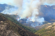 大規模な山火事が多発！　地球温暖化の影響や過去の事例を解説