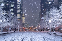 降雪短時間予報で冬の大雪災害に備えよう！ 活用のポイントを解説