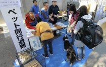 災害時のペット（後編）日頃から備えておきたいこと