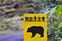 相次ぐクマの出没・・・いったい何が起きている？原因と対策を専門家に聞きました