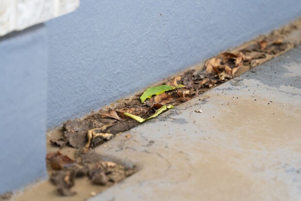 大雨前に“排水溝のつまり“を解消して家を守る! 家庭の防災チェック