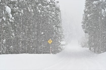 吹雪に種類があるって知ってた？正しい知識と対策のポイント