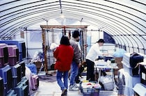 ペットと避難！能登半島地震でも餌不足の声が…どう備えればいい？