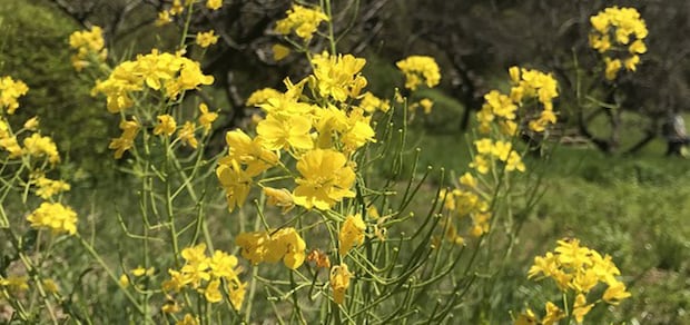 キャンプデビューのベストシーズン到来！「いつも」と「もしも」を繋ぐキャンプのススメ